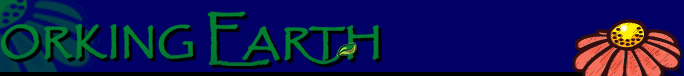 Working Earth Landscaping on Martha's Vineyard